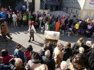 Faschjingszug_134