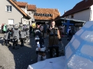 Faschjingszug_160