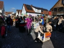 Faschjingszug_164