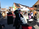 Faschjingszug_165
