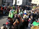 Faschjingszug_16