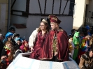 Faschjingszug_41