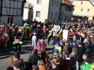 Faschjingszug_9
